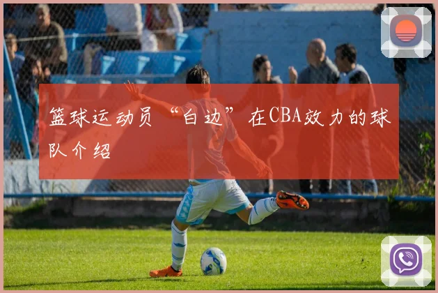 篮球运动员“白边”在CBA效力的球队介绍