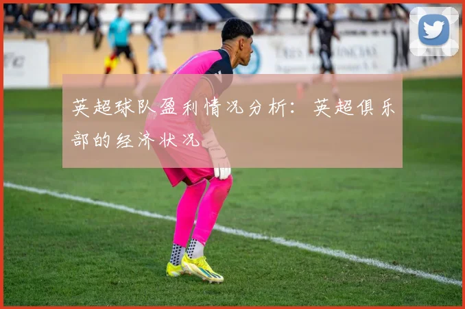 英超球队盈利情况分析：英超俱乐部的经济状况