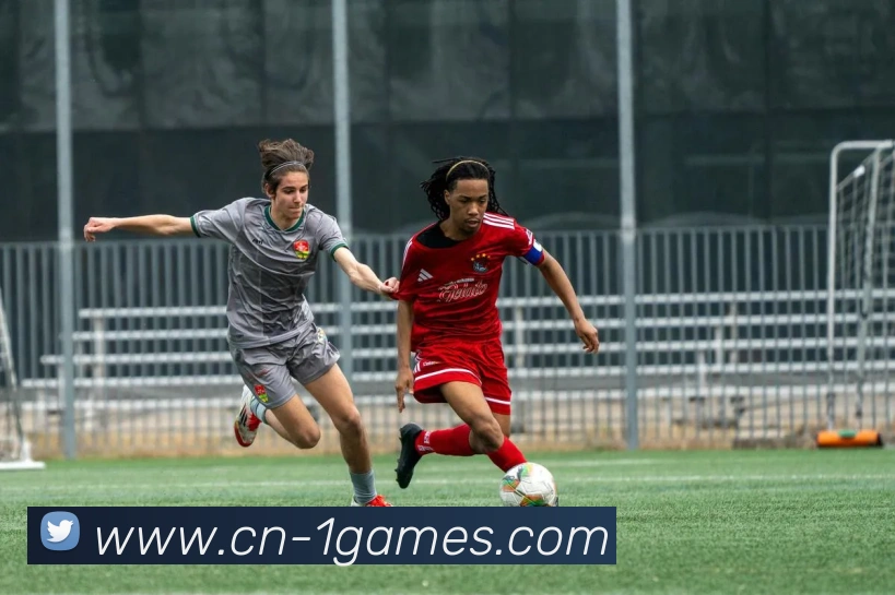 壹号体育平台生态图